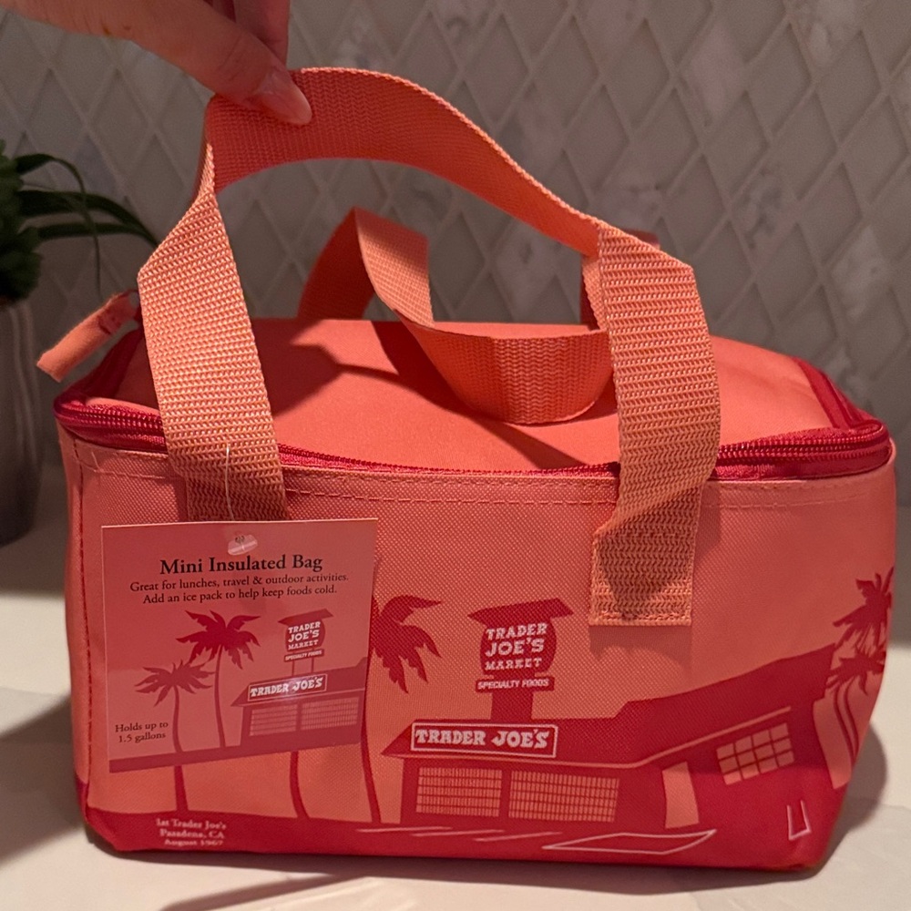 Trader Joe's Mini Insulated Bag
